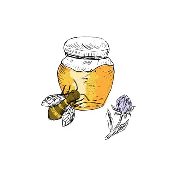 Honey jar and clover hand drawn sketch in color. Vector illustration can used for wrapping paper, label, poster, cards. Engraved or ink vector honey illustrations.