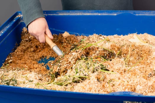Cleaning the rabbit cage, scatter and straw with rabbit shit and leftover vegetables, taking care of a pet, shovel with waste