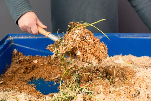 Cleaning the rabbit cage, scatter and straw with rabbit shit and leftover vegetables, taking care of a pet, shovel with waste