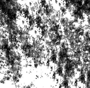 Abstract white background with black spots