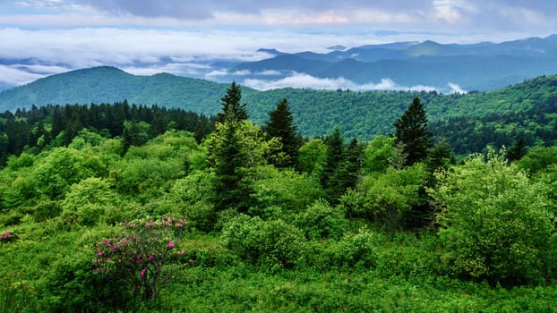 Scenic view of the Smokie Mountains from Blue Ridge Parkway near Maggie Valley, North Carolina