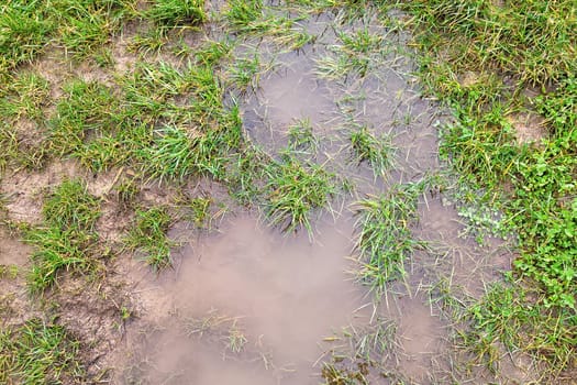 Puddle after continuous rain in nature with green grass