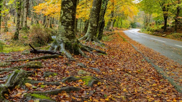 Autumn landscape at Geres National Park, Portugal