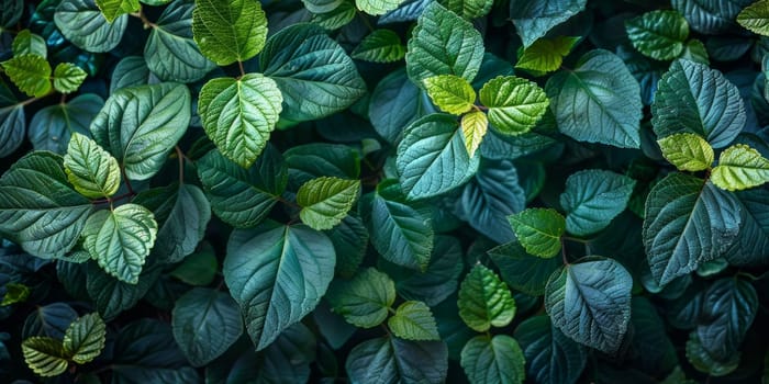 Green leaves background. Green leaves background. Green leaves texture. Green leaves background.