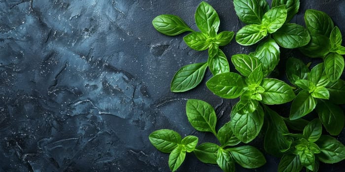 Fresh basil leaves on dark background. Top view with copy space.
