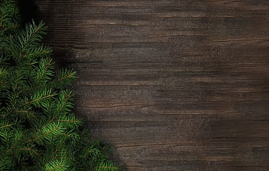 Spruce green branch on a natural brown wooden background with an empty space for text top view