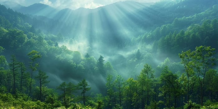 Misty morning in the mountains. Panoramic view of misty forest.