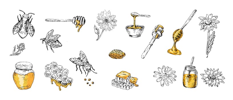 Honey set of sketch bee, spoon, jar, flowers with yellow colors. Vector illustration can used for wrapping paper, textile, food label, print for organic honey products.