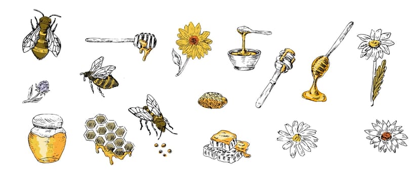 Honey set of sketch bee, spoon, jar, honeycomb with yellow colors. Vector illustration can used for wrapping paper, textile, food label, print for organic honey products.