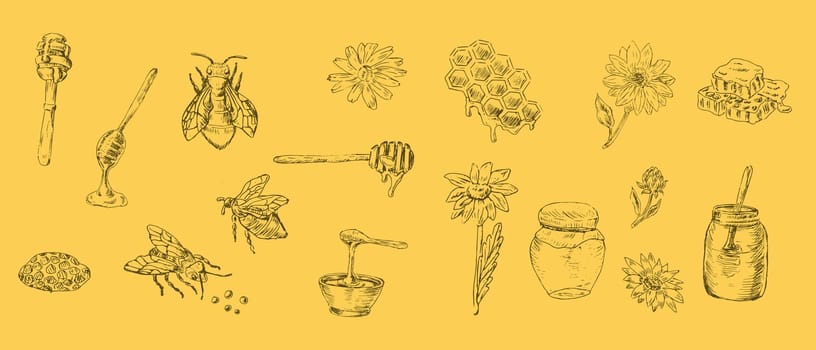 Sketch set of honey products and flower, bee on yellow background. Vector illustration can used for wrapping paper, textile, food label, print for organic honey products.
