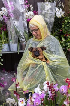Funchal, Madeira, Portugal - April 21, 2018: A woman with a small dog in her arms while walking on a rainy day