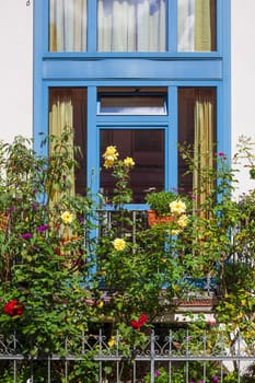 Blue window with garden, garden fence and flowers on a residential building, Bremen, Germany
