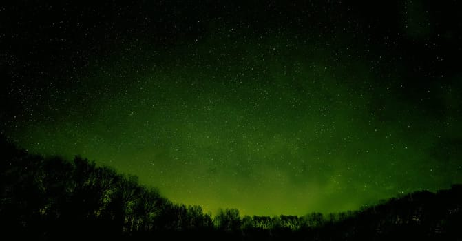 The green starry sky above the dark outline of the forest