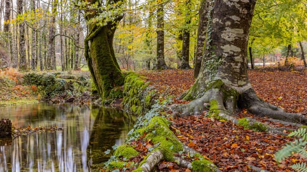 Autumn landscape at Geres National Park, Portugal
