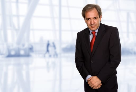 mature business man portrait at the office