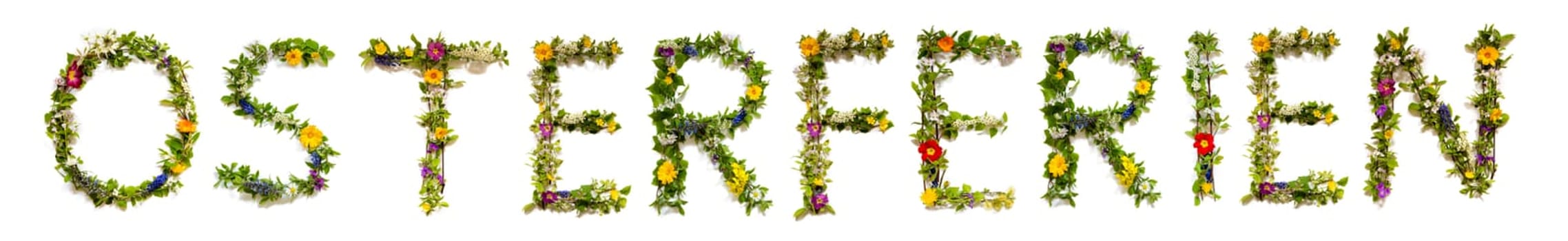 Colorful Flowers Building German Text Osterferien, Means Easter Holiday in English, Some Green And Some Spring Flowers on Isolated White Background, Symbolic Meaning, Quote