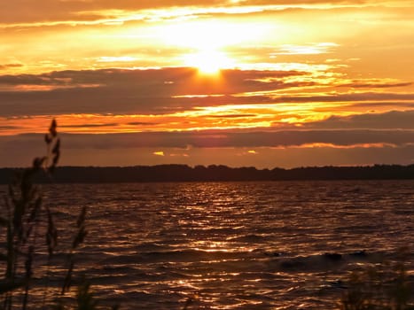 Sunset landscape forest and river Sunset landscape forest and river