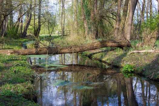 German countryside landscape, Fleuth river in Issum, Lower Rhine Region, Germany