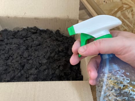 Preparation of soil and mycelium for growing the champignon mushrooms