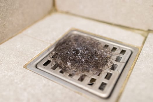 Hair loss after washing of the head in the drain hose in the shower