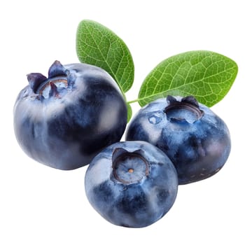 Close-up of fresh, ripe blueberries with vibrant green leaves isolated on a transparent white background