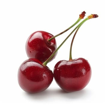 Close-up of four juicy red cherries with stems, isolated on a white background