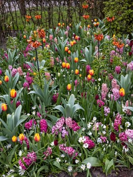 The abundance of colors and scents of various species of flowers blooming in the spring garden