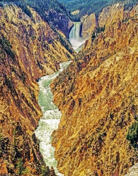 Lower Falls in Yellowstone National Park, Wyoming