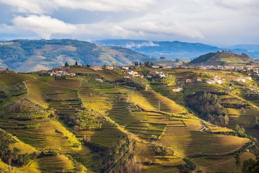 View of the Douro valley with the vineyards of the terraced fields.  Photographed in spring, Portugal