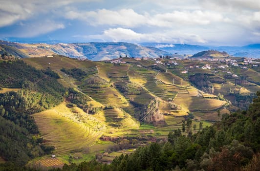 The Douro valley with the vineyards of the terraced fields.  Photographed in spring, Portugal
