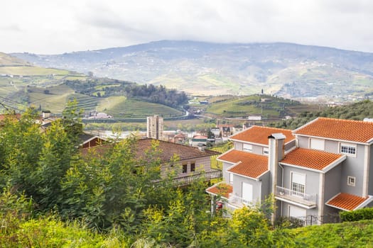 Landscape with terraced vineyards near Peso da Régua in Portugal