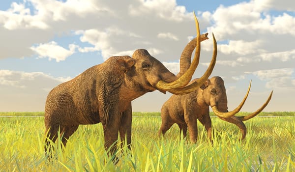 The Columbian Mammoth lived during the Pleistocene Period of North America.