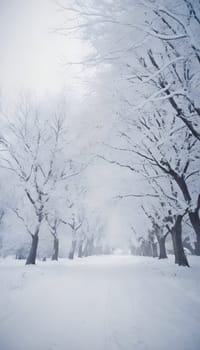 Snowy winter road in a mountain forest. Beautiful winter landscape.