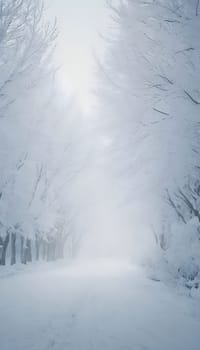 Snowy winter road in a mountain forest. Beautiful winter landscape.