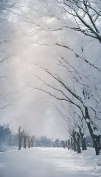 Snowy winter road in a mountain forest. Beautiful winter landscape.
