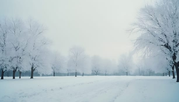 Snowy winter road in a mountain forest. Beautiful winter landscape.