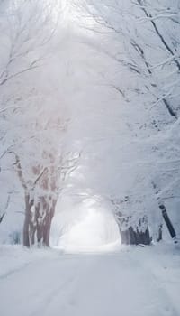 Snowy winter road in a mountain forest. Beautiful winter landscape.