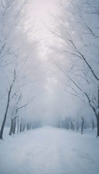 Snowy winter road in a mountain forest. Beautiful winter landscape.