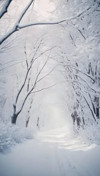 Snowy winter road in a mountain forest. Beautiful winter landscape.