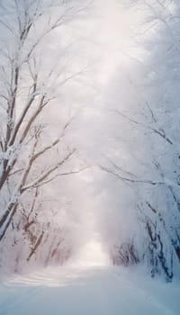 Snowy winter road in a mountain forest. Beautiful winter landscape.