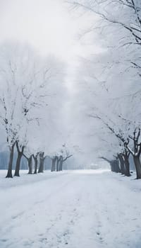 Snowy winter road in a mountain forest. Beautiful winter landscape.