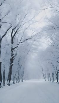 Snowy winter road in a mountain forest. Beautiful winter landscape.