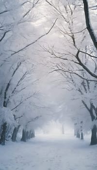 Snowy winter road in a mountain forest. Beautiful winter landscape.