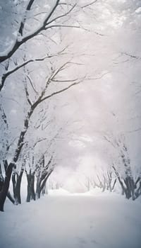 Snowy winter road in a mountain forest. Beautiful winter landscape.