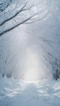 Snowy winter road in a mountain forest. Beautiful winter landscape.