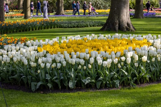 Keukenhof, Lisse Netherlands - April 18, 2023: Visitors at the Keukenhof Garden in Lisse, Netherlands.