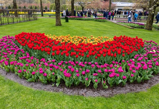 Keukenhof, Lisse Netherlands - April 18, 2023: Colorful tulips in the Keukenhof Garden in Lisse, Holland, Netherlands.