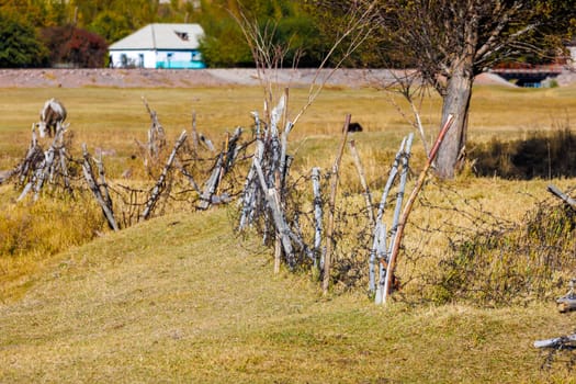 Old barbed wire fence with old sticks in a grassy meadow with a house in the background at sunny autumn day, closeup with selective focus.