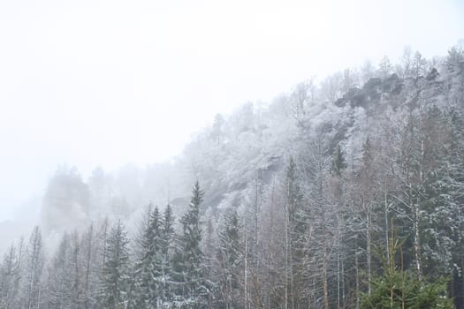 View of the great Zschirnstein with snow-covered trees and sunrise in fog, on the summit, during a hike. From the nature park in the Elbe Sandstone Mountains. Landscape from things in Germany