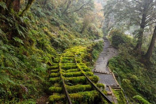 Hiking trail in Taipingshan of Yilan Jianqing Huaigu Trail